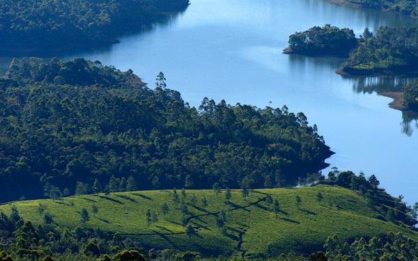 Munnar Dreams Hotel Exterior photo